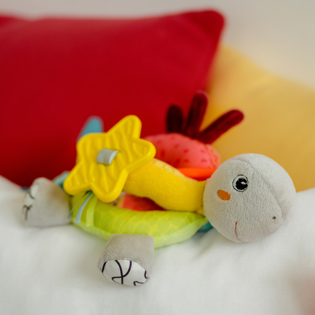 Розвивальні іграшки - Розвиваюча іграшка Fehn Активна черепаха (049114) (4001998049114)#2