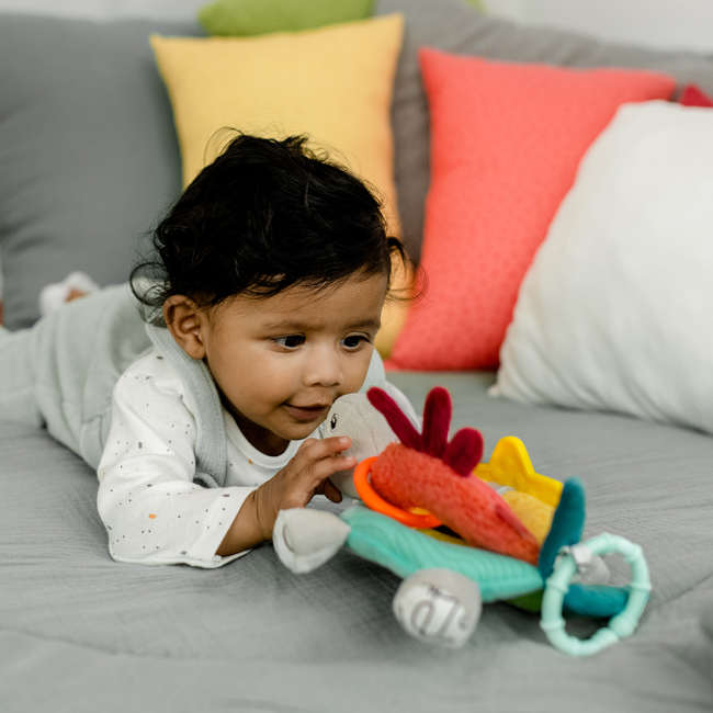 Розвивальні іграшки - Розвиваюча іграшка Fehn Активна черепаха (049114) (4001998049114)#5