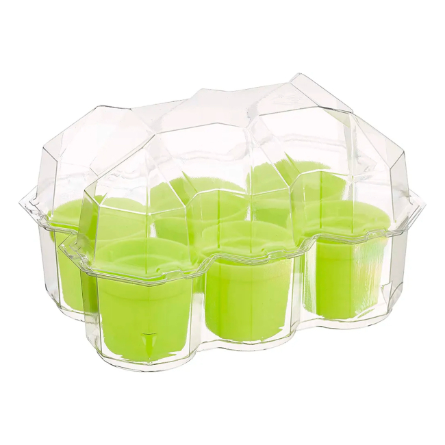 Наукові ігри, фокуси та досліди - Набір для дослідів Kosmos Сад мімози (616809)#3