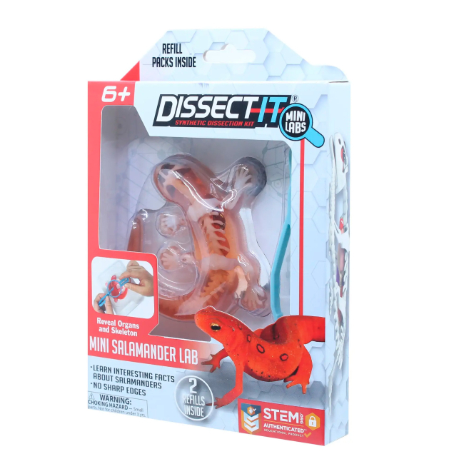 Наукові ігри, фокуси та досліди - Набір для дослідів Joker Slimy Lab Анатомія тварин - Саламандра S (38085)#2
