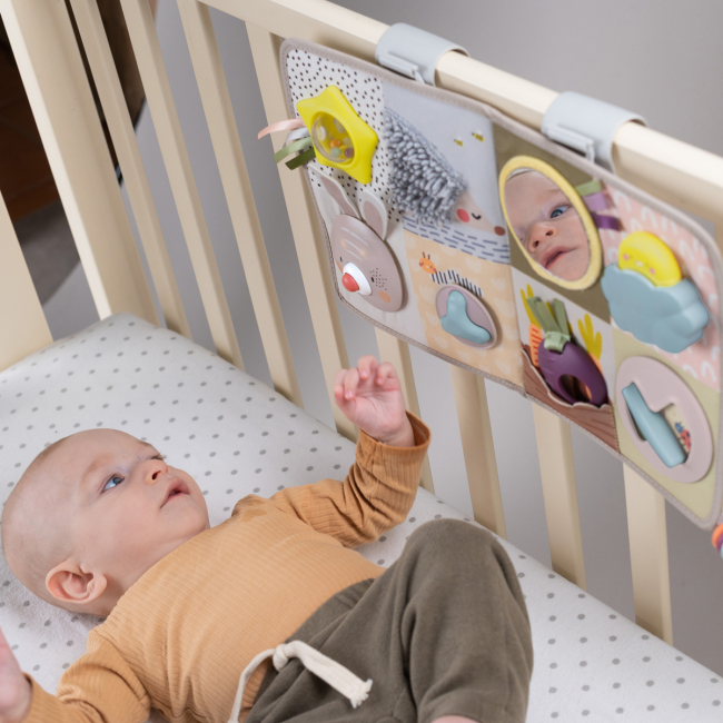 Розвивальні іграшки - Центр для ліжечка Taf Toys Садочок у місті Пізнай світ (13115)#5