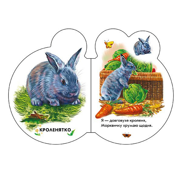 Книги для найменших (0-3 років) - Книжка «Малята На подвір''ї» Ірина Сонечко (М411015У)#3