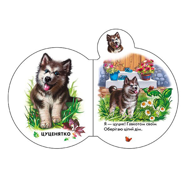 Книги для найменших (0-3 років) - Книжка «Малята У селі» Ірина Сонечко (М411016У)#2