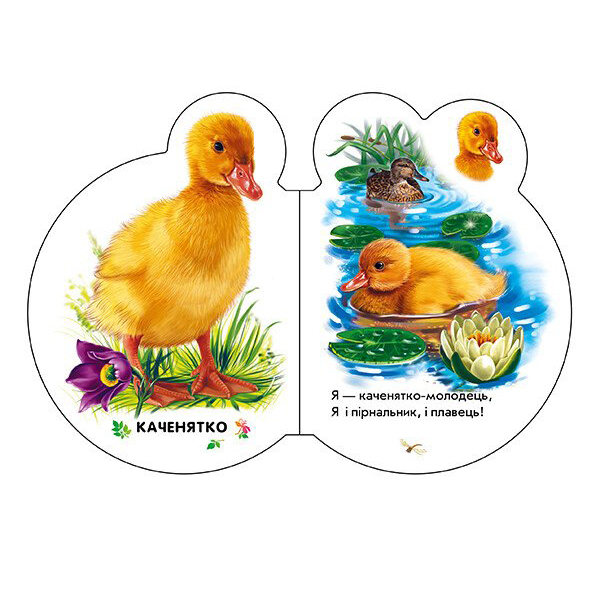 Книги для найменших (0-3 років) - Книжка «Малята У селі» Ірина Сонечко (М411016У)#3