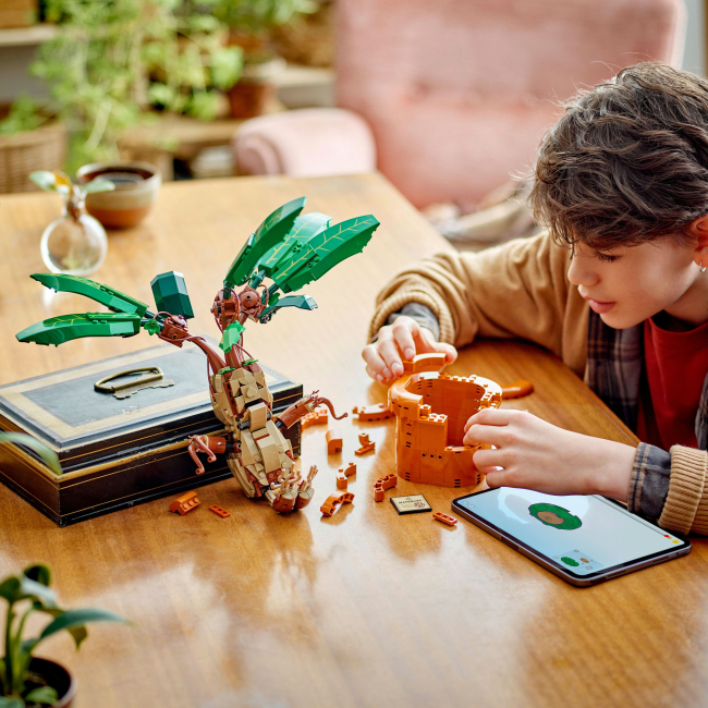 Конструктори LEGO - Конструктор LEGO Harry Potter Корінь мандрагори (76433)#5