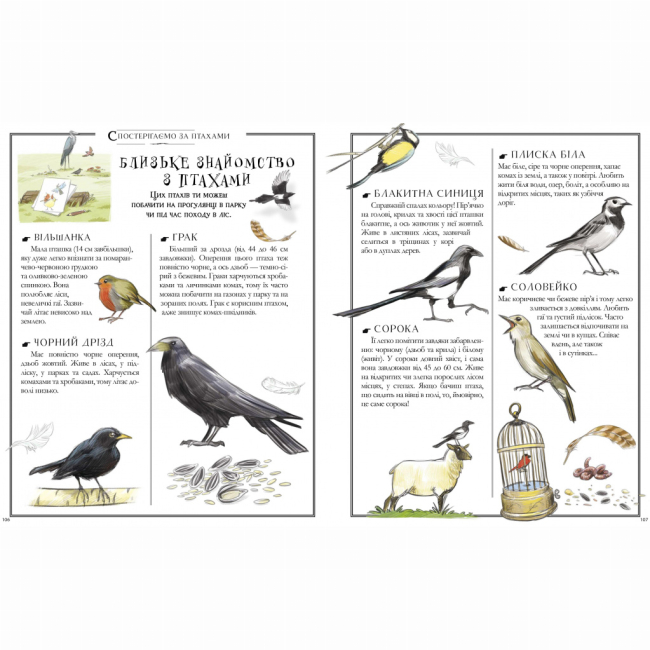 Пізнавальні книги (4-10 років) - Книжка «Boys' Book. Підручник відважного мандрівника» (9786178253738)#5