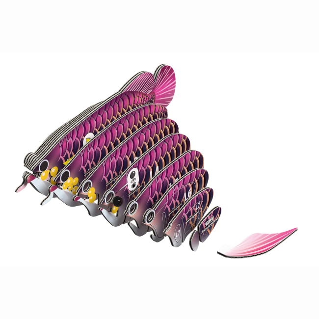 3D-пазли - 3D пазл Eugy Зоопарк Азіатська арована (XEG-118)#2