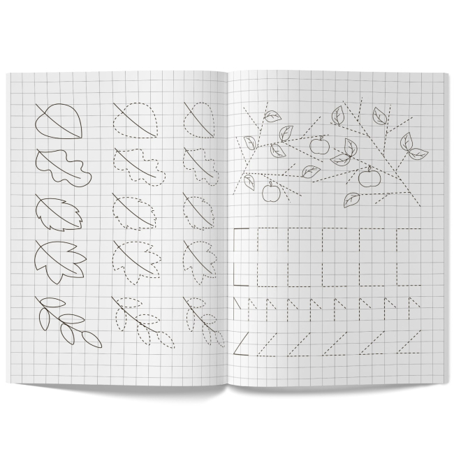 Навчальна література - Книжка «Мої перші прописи (код 091-5)» (9789669360915)#2