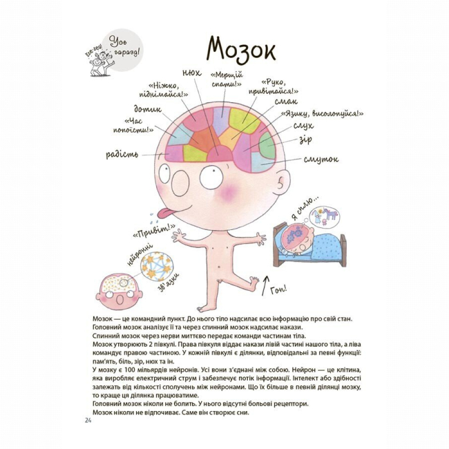Пізнавальні книги (4-10 років) - Книжка «Для турботливих батьків. Як улаштоване моє тіло: книжка для дітей (і дорослих!). 4+» (9786170042927)#4