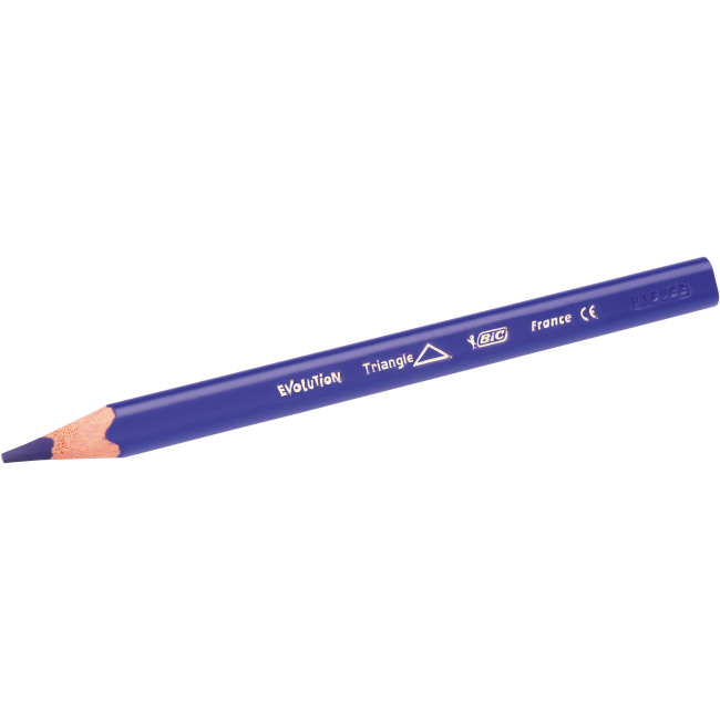 Канцтовари - Олівці кольорові BIC Kids Evolution triangle тригранні 12 штук (bc8297356)#4