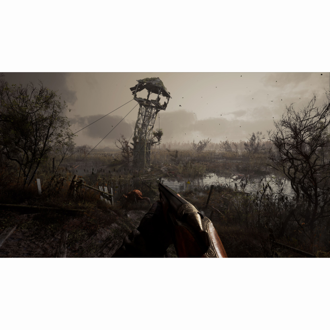 Відеоігри - Гра комп'ютерна S.T.A.L.K.E.R. 2 Standard Edition код активації (1137171)#2