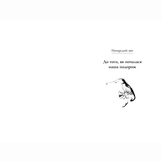 Підліткова література (14+ років) - Книжка «Щоденник мандрівного кота» Хіро Арікава (9786175233191)#2