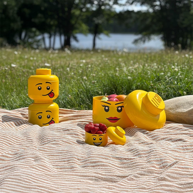 Бокси для іграшок - Набір боксів-голів LEGO Lifestyle Mini 4 шт (43330801)#3