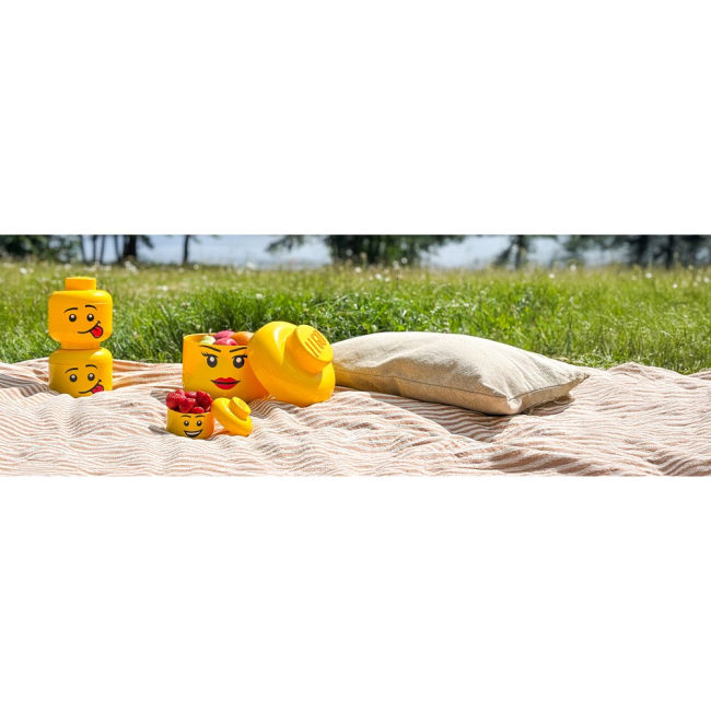 Бокси для іграшок - Набір боксів-голів LEGO Lifestyle Mini 4 шт (43330801)#4