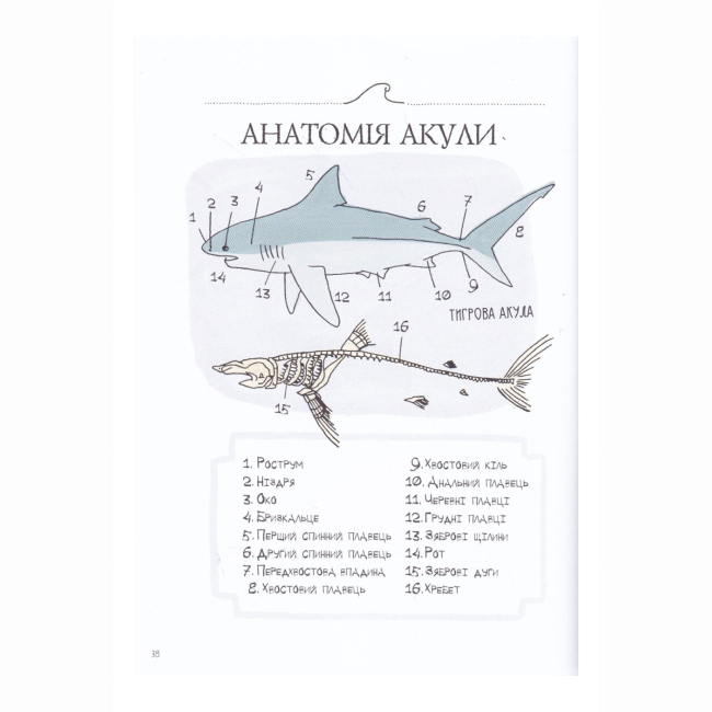 Книги для дорослих - Книжка «Анатомія океану. Неймовірні місця та частини світу, сховані під водою» (9786177329878)#5